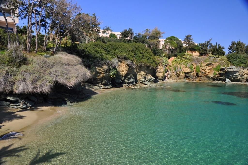 Renia Studios Agia Pelagia Exterior foto