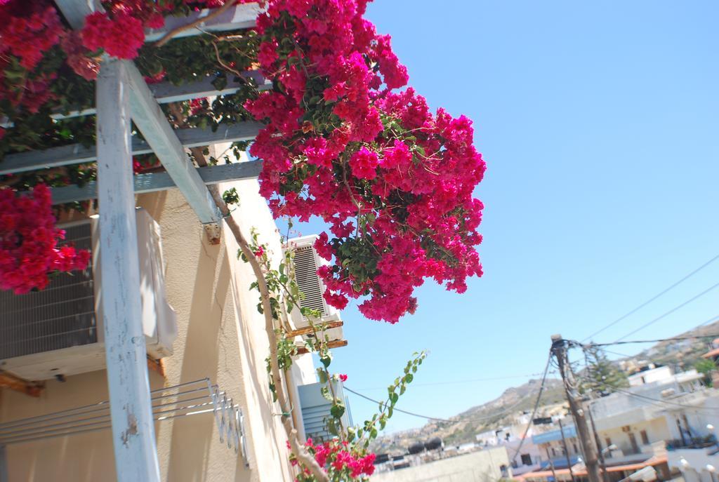 Renia Studios Agia Pelagia Exterior foto